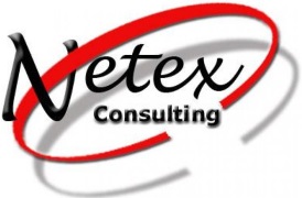 Netex Consulting