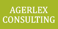 Работа в Agerlex Consulting