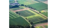 Valenagro-Com