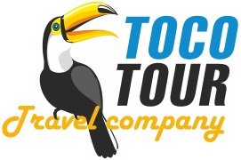 Toco Tour Toco Tour