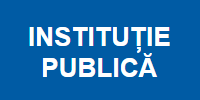 Instituție publică