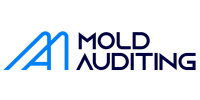 Moldauditing SRL