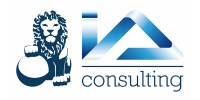 IVS consulting