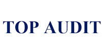 Top Audit