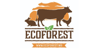 Работа в Ecoforest