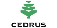 Cedrus Cedrus