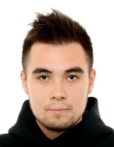 Software Engineer