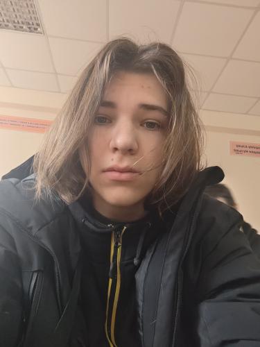 Программист (Junior)