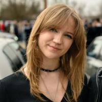 2D Artist