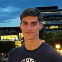 C/C++ Developer