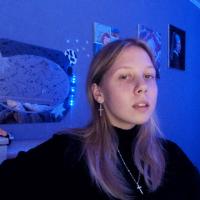 2D/3D Artist