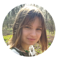 2D Artist