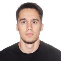 Software Developer