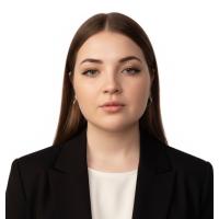 Vânzător consultant