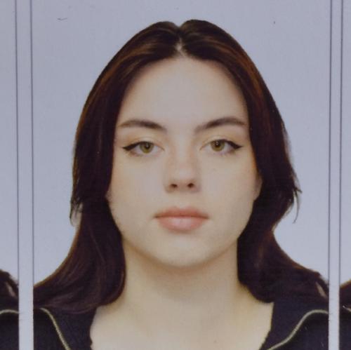 Резюме № 491057 от 5 ноября 2025