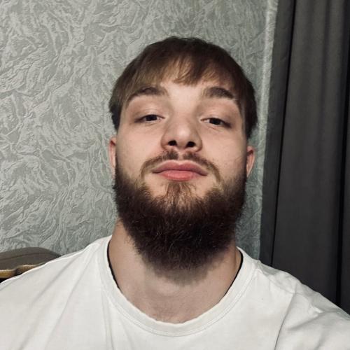 CV № 491992 din 12 noiembrie 2025