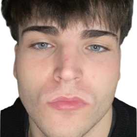 CV № 425575 din 12 noiembrie 2025