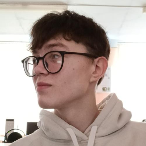 CV № 492161 din 13 noiembrie 2025