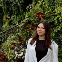 Manager vânzări, Administrator