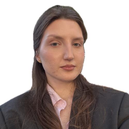 CV № 493027 din 19 noiembrie 2025