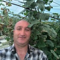 Оператор сип моики