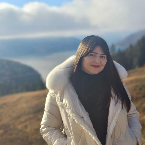 CV № 226481 din 23 noiembrie 2025