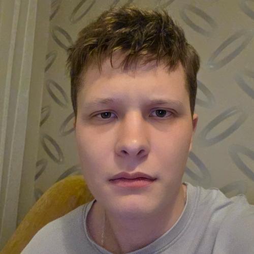 CV № 493668 din 24 noiembrie 2025