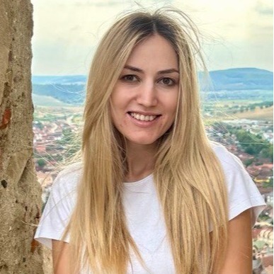 CV № 252758 din 24 noiembrie 2025