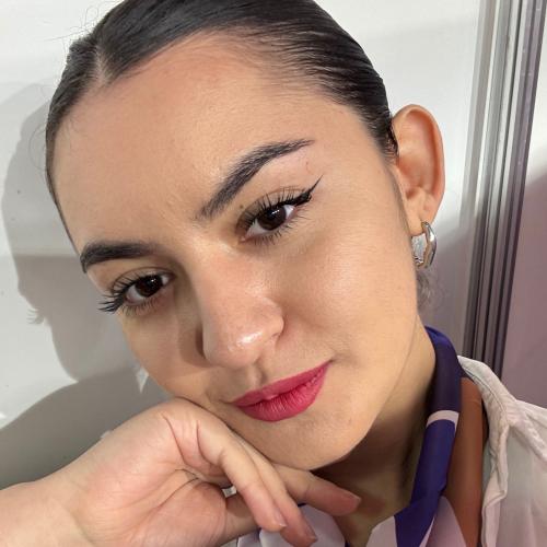 CV № 495277 din 8 decembrie 2025