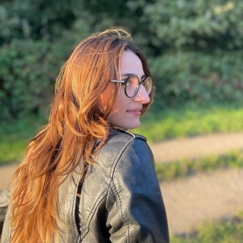 CV № 499506 din 14 ianuarie 2026