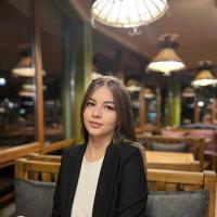 Operator introducere date