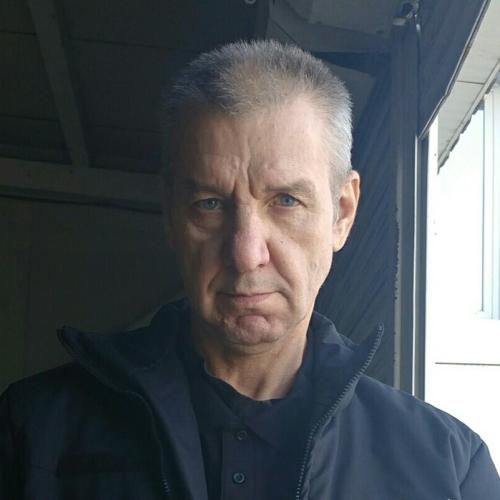 CV № 426520 din 4 februarie 2026