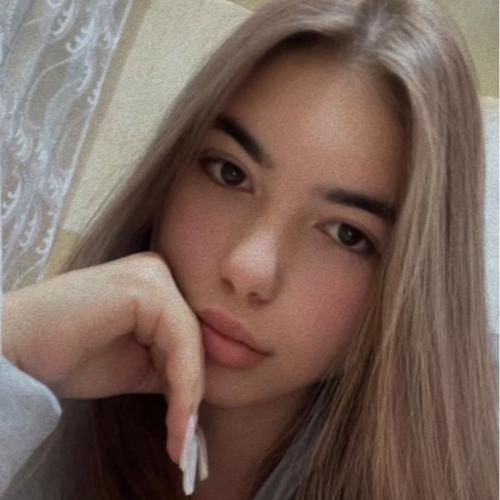 CV № 505348 din 12 februarie 2026