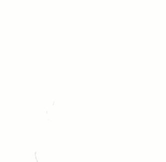 CV № 167097 din 24 februarie 2015