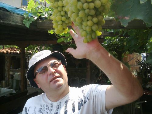 Sef de paza, propuneri serioase