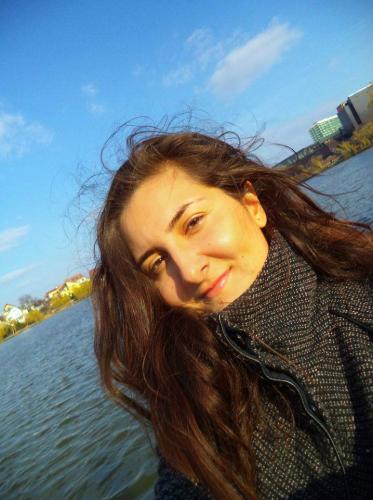 Import - Export Manager