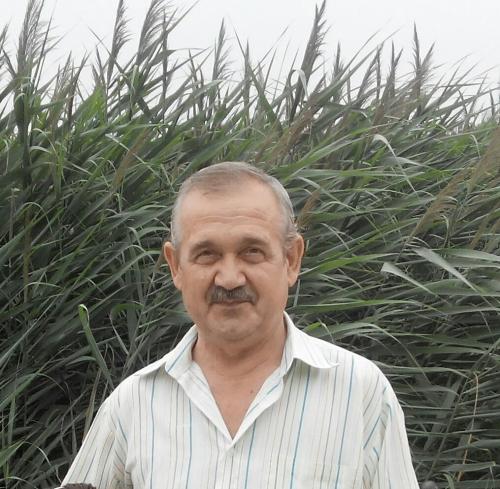 Сторож