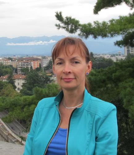 Проектировщик по газу