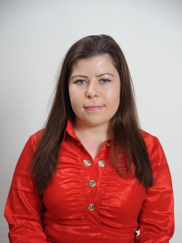 Lucrator la distanta