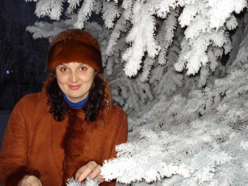 Продажи, закупки, бухгалтерия