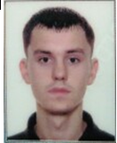 Inginer, electronist