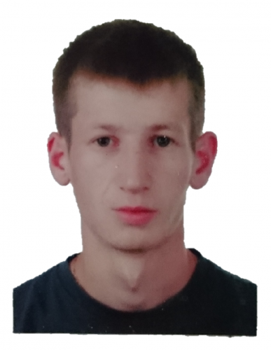 Curier, Gestionarea parcului de automobile